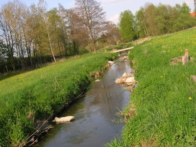 Ehenbachmaßnahme Blick nach Osten 2 Bachlauf - Foto LPV AS e. V.