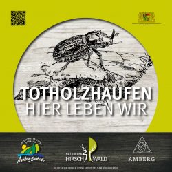 Totholzschild_1 Totholzschild_1