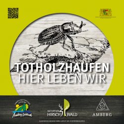 Totholzschild_1