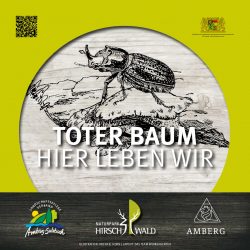 Totholzschild_2 Totholzschild_2